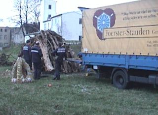 Das Holz wird von einem LKW geladen